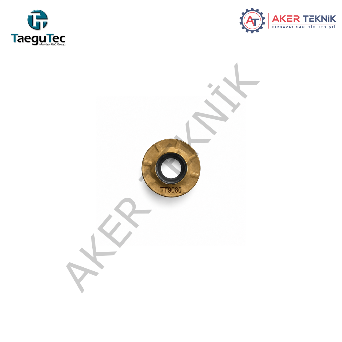 TAEGUTEC RXMX 12T3-M TT9080